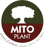 Mitoplant